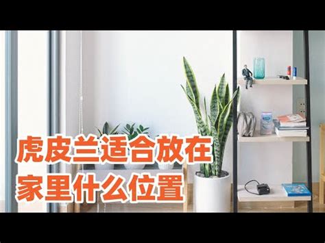 房間放時鐘好嗎